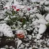 IMG_20240508_195850.webp