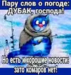 IMG-80916eab25a4bb0cc62f71f9f88c93ee-V.webp