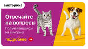 Screenshot_2024-05-11-11-18-45-435-edit_ru.tander.magnki.webp