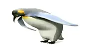 470cd35170de996c50eef328cde0e5a1f3fa0c43.webp