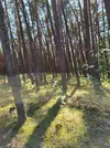 20230524_141722.webp