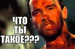 OYAAAgFLiuA-960.webp