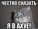 IMG_1289.webp