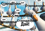 upload_2024_06_03_16_26_58_812.webp