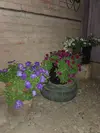 IMG_20240603_212501.webp
