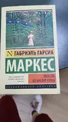 1717598631687.webp