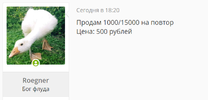 14.webp