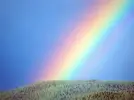 images.webp