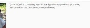 111Снимок.webp