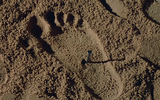 Screenshot_3.webp
