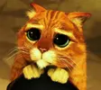 1f_picture_87c446b2.webp
