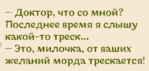 14.webp