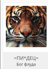 Screenshot_2024-06-19-05-36-58-414.webp