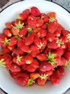 IMG_20240622_121200.webp
