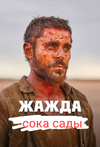 1719219257292.webp