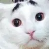 24c767202cc722852f7d605e85e0c1d7746713f4_full.webp
