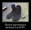 demotivatorium_ru_noski_nastojashego_mujika_level_80_2965.webp
