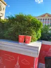 20240710_174854.webp