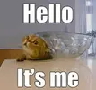 images (1).webp