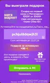2222.webp