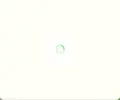 1722261913375.webp