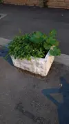 1722276293483.webp