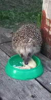 20240720_211617.webp
