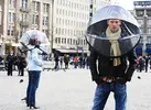 1905743_900.webp