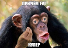 Screenshot_245.webp
