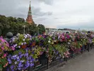 1000031668.webp