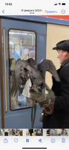 IMG_9672.webp