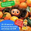 Huo2m0ECt-A2eYnN59sv1jvF-CMW-2-DewjQzuIo9h4LF18j_a-rI3XVDb9chFd4CMqrSXj-hBikbEOr8n97h5Am.webp