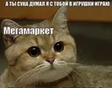 meme (10).webp