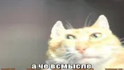 jcTp4R02ANM.webp