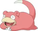 images (2).webp