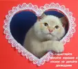 scale_1200.webp