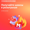 1000156386.webp