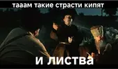 IMG_20241026_080837.webp