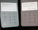 Скриншот 01-11-2024 004713.webp