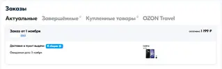 Ozon.webp