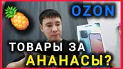 maxresdefault.webp