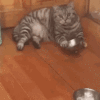 1644223744212.gif