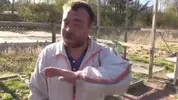 1700037991120720753.webp