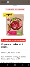 Screenshot_20241113-083000.webp