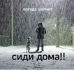 IMG_20241121_121656.webp