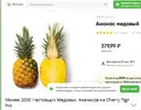Скриншот 22-11-2024 173455.webp