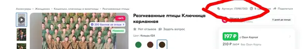 Скриншот 23-11-2024 194531.webp