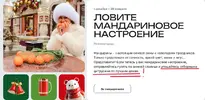 Screenshot 2024-11-25 at 09-49-41 «Зима в Москве» — главный городской проект сезона.webp