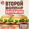 baDQ7T9C6UM.webp