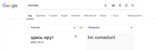 Opera Снимок_2024-11-26_140921_www.google.ru.webp